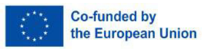 Co-funded by the European Union